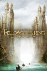 The Lord of the Rings: The Fellowship of the Ring poster 3