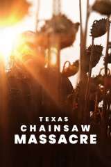 Texas Chainsaw Massacre poster 3