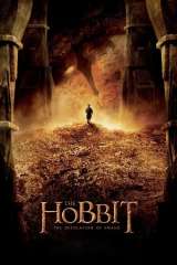 The Hobbit: The Desolation of Smaug poster 3