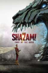 Shazam! Fury of the Gods poster 7