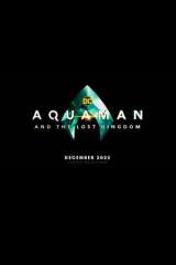 Aquaman and the Lost Kingdom poster 47