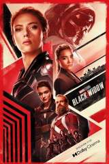 Black Widow poster 5