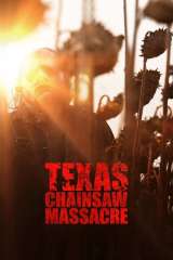 Texas Chainsaw Massacre poster 17