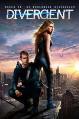 Divergent poster 5