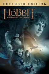 The Hobbit: An Unexpected Journey poster 4