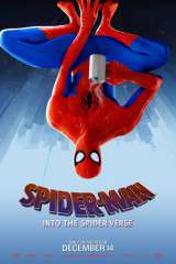Spider-Man: Into the Spider-Verse poster 4