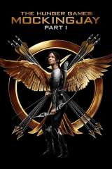The Hunger Games: Mockingjay - Part 1 poster 4