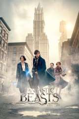 Fantastic Beasts and Where to Find Them poster 15