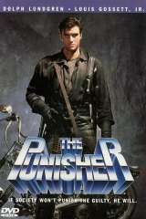The Punisher poster 3