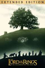 The Lord of the Rings: The Fellowship of the Ring poster 5