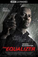 The Equalizer poster 19