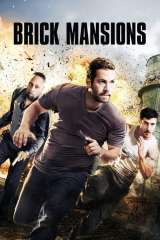 Brick Mansions (2014)