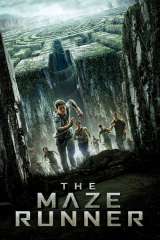 The Maze Runner poster 7