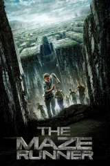 The Maze Runner poster 13