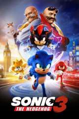 Sonic the Hedgehog 3 poster 10