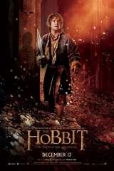 The Hobbit: The Desolation of Smaug poster 27