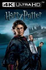 Harry Potter and the Goblet of Fire poster 11