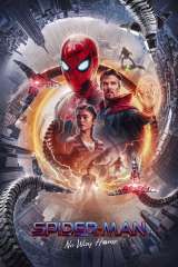 Spider-Man: No Way Home poster 16