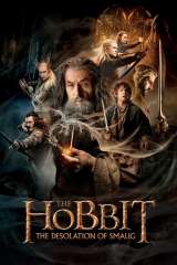 The Hobbit: The Desolation of Smaug poster 34