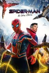 Spider-Man: No Way Home poster 10