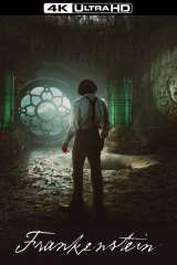 Frankenstein poster 21