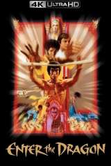 Enter the Dragon poster 22