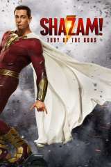 Shazam! Fury of the Gods poster 33