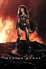 Wonder Woman poster 26