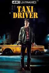 Taxi Driver poster 17