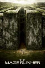 The Maze Runner poster 10