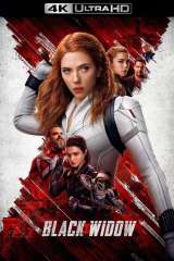 Black Widow poster 11