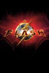 The Flash poster 74