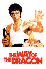 The Way of the Dragon poster 32
