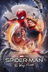 Spider-Man: No Way Home poster 4