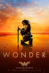 Wonder Woman poster 24