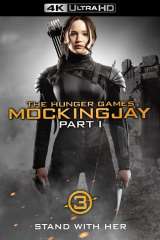 The Hunger Games: Mockingjay - Part 1 poster 8