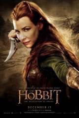 The Hobbit: The Desolation of Smaug poster 22