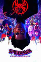 Spider-Man: Across the Spider-Verse poster 28
