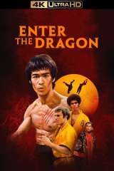 Enter the Dragon poster 25