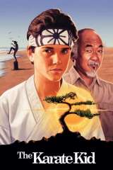 The Karate Kid poster 17