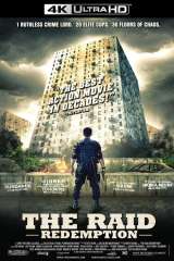 The Raid poster 17