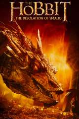 The Hobbit: The Desolation of Smaug poster 14