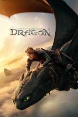 How to Train Your Dragon poster 11