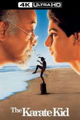 The Karate Kid poster 10