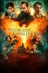 Fantastic Beasts: The Secrets of Dumbledore poster 11