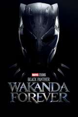 Black Panther: Wakanda Forever poster 37