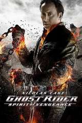 Ghost Rider: Spirit of Vengeance (2011)