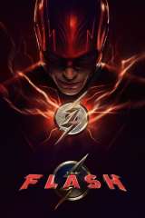 The Flash poster 17