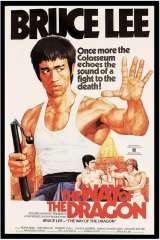 The Way of the Dragon poster 26