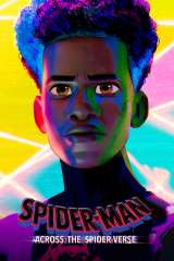 Spider-Man: Across the Spider-Verse poster 34